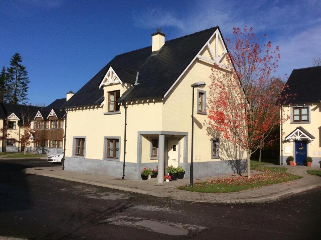 Kilronan 4 Bed House On Castle Grounds Villa Ballyfarnon Kültér fotó